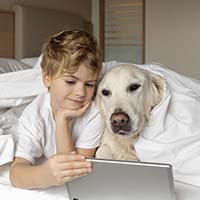 White Crane Homes Pet Policy
